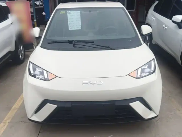 BYD Seagull — Фото автомобиля 2