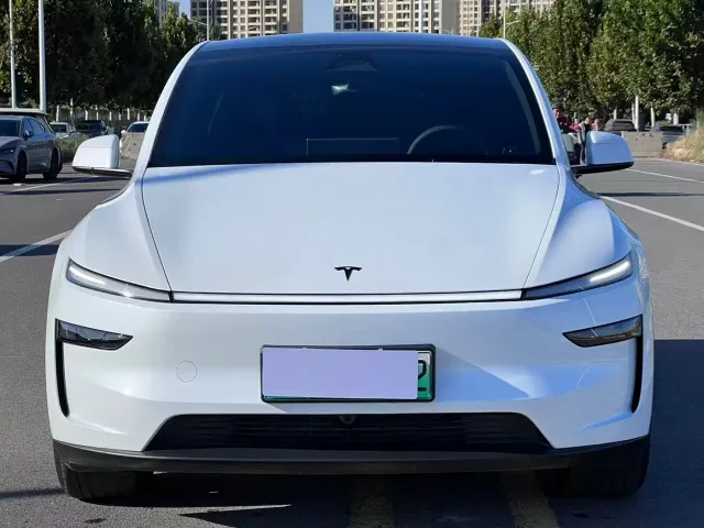 Tesla Model Y — Фото автомобиля 2
