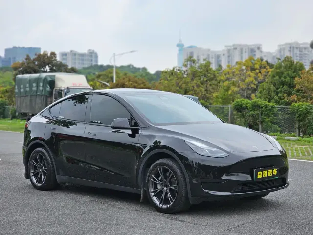 Tesla Model Y — Фото автомобиля 3
