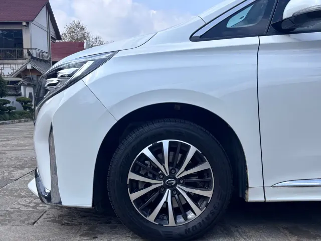 GAC Trumpchi M8 — Фото автомобиля 9