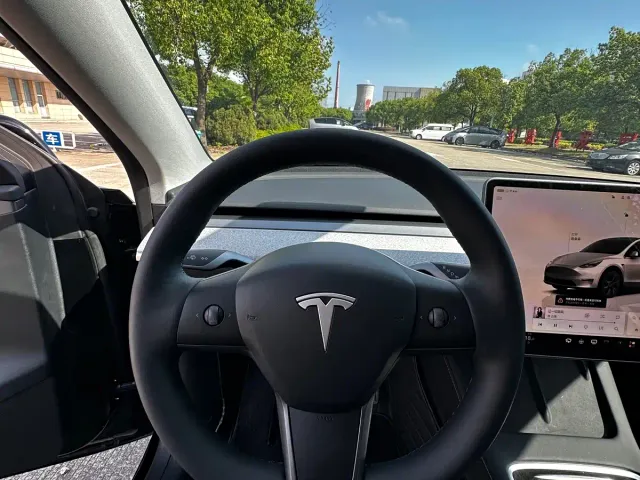 Tesla Model Y — Фото автомобиля 10