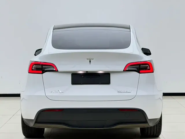 Tesla Model Y — Фото автомобиля 8