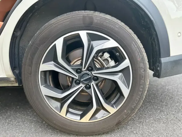 Haval Xiaolong MAX — Фото автомобиля 11