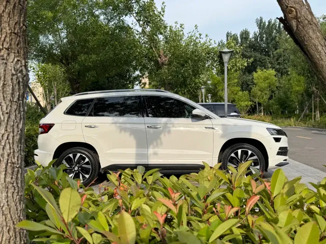 Skoda Karoq — Фото автомобиля 5