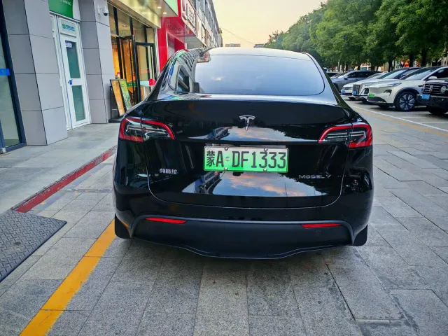 Tesla Model Y — Фото автомобиля 6