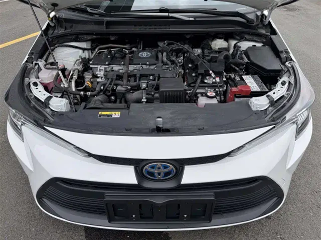 Toyota Levin — Фото автомобиля 18