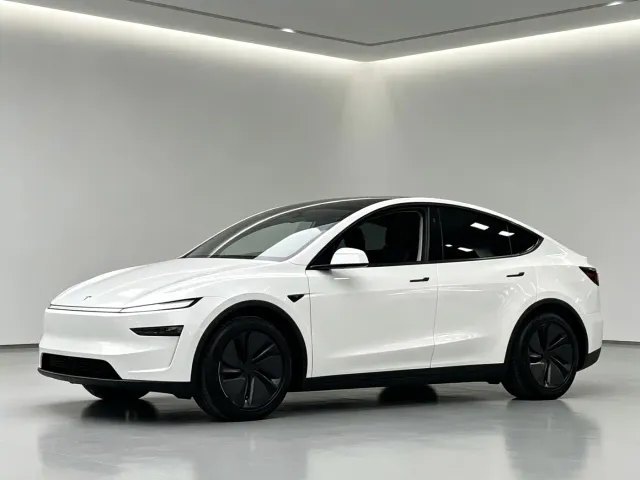 Tesla Model Y — Фото автомобиля 2