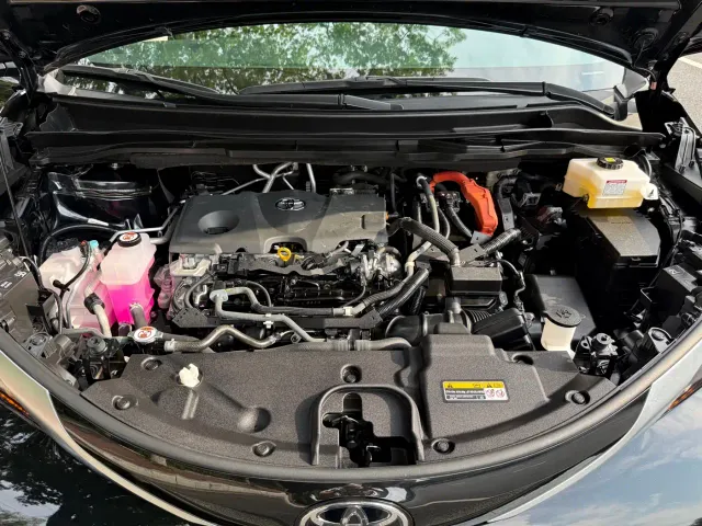 Toyota Sienna — Фото автомобиля 12