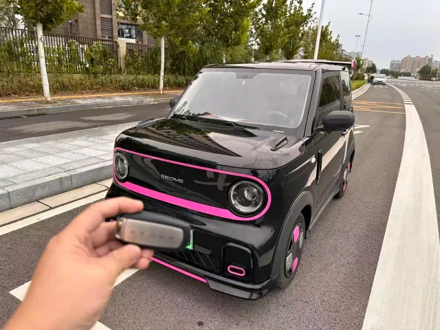 Фотография автомобиля — Geely Panda
