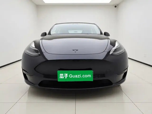 Tesla Model Y — Фото автомобиля 2