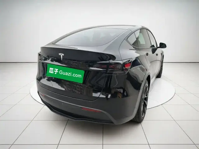 Tesla Model Y — Фото автомобиля 4