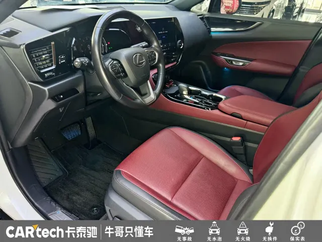 Lexus NX — Фото автомобиля 12