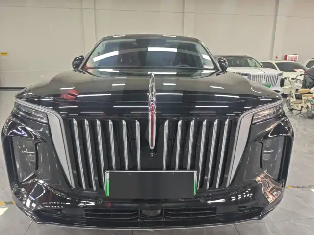 Hongqi E-HS9 — Фото автомобиля 2
