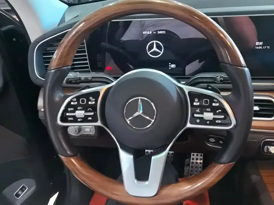 Mercedes-Benz Mercedes-Benz GLS 2022 GLS 450 4MATIC Luxury — Фото автомобиля 15
