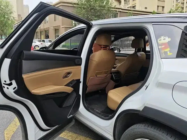 BYD Song L DM-i 2024 160km Superior — Фото автомобиля 11