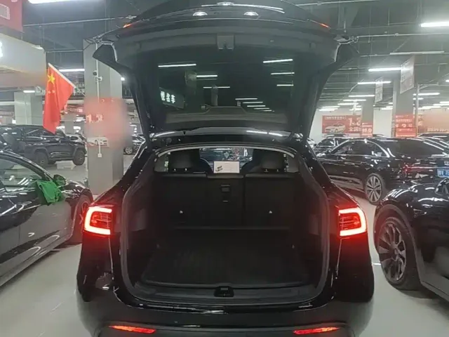 Tesla Model Y — Фото автомобиля 18