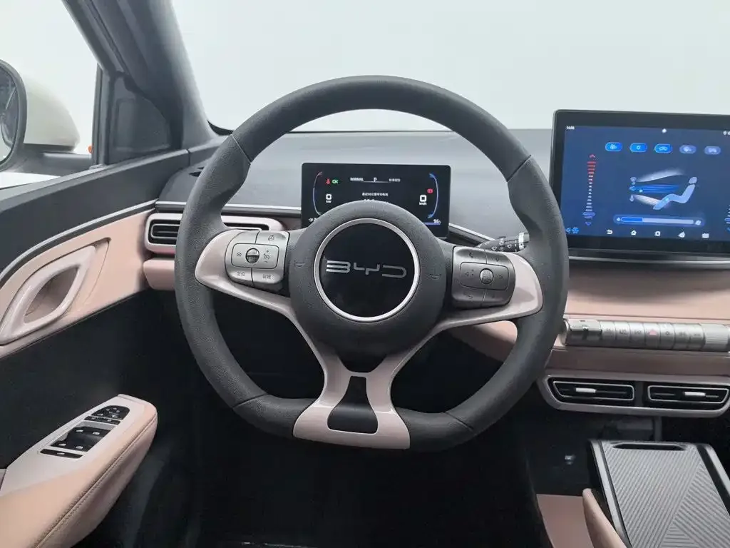BYD Seagull 2023 Vitality Edition — Фото автомобиля 11