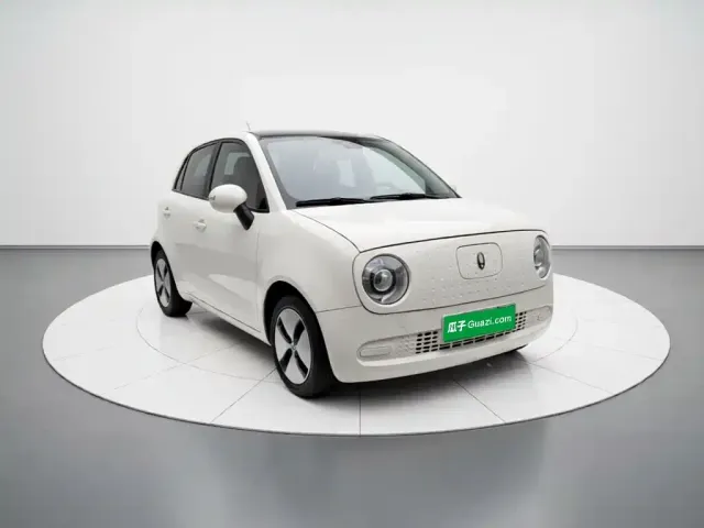 Ora Ora Black Cat 2021 301km Pet Edition — Фото автомобиля 3