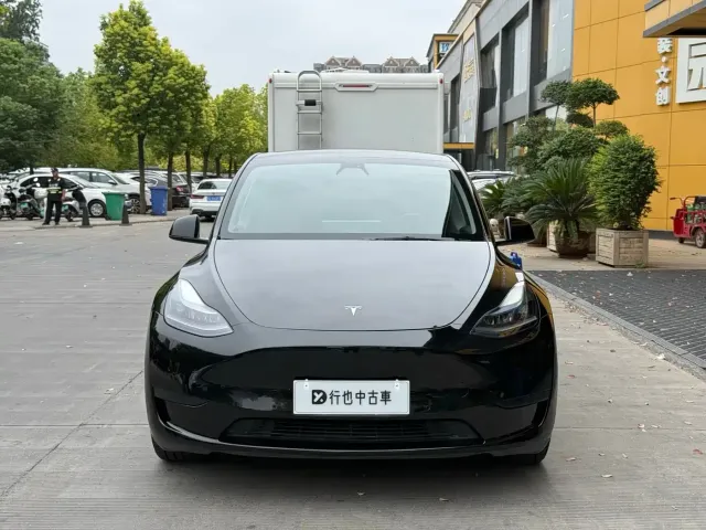 Tesla Model Y — Фото автомобиля 2