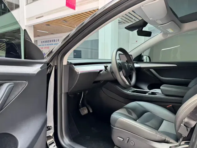 Tesla Model Y — Фото автомобиля 9