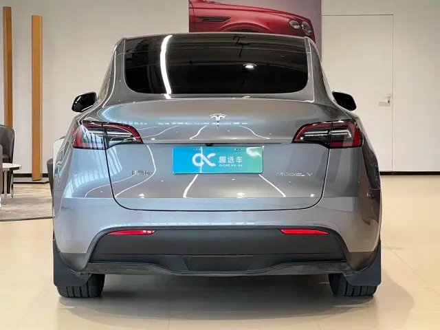 Tesla Model Y — Фото автомобиля 6