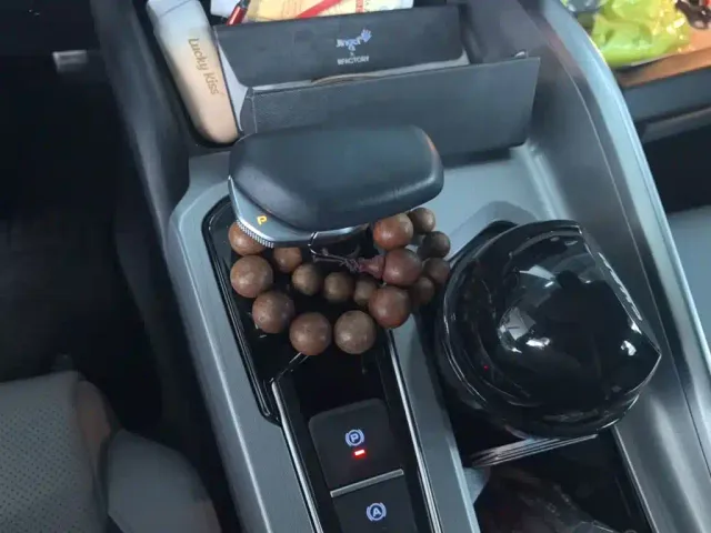 Geely Xing Rui 2021 2.0TD Flagship Model — Фото автомобиля 15