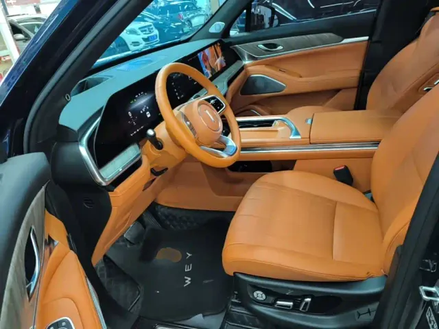 Wey Lanshan — Фото автомобиля 14