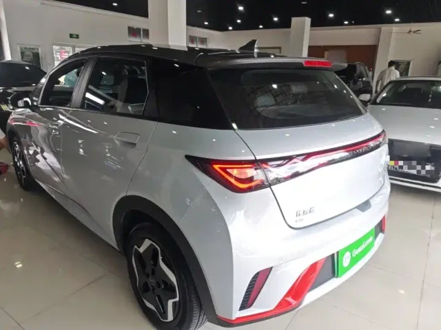 BYD Dolphin — Фото автомобиля 22