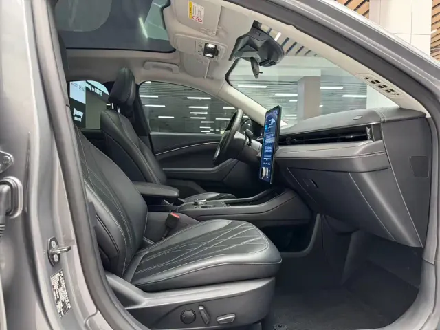 Ford Mustang Mach-E — Фото автомобиля 17