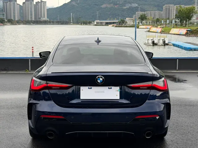 BMW 4 Series — Фото автомобиля 8