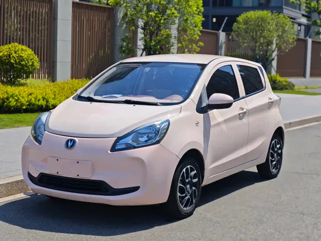 Фотография автомобиля — Changan Benben E-Star