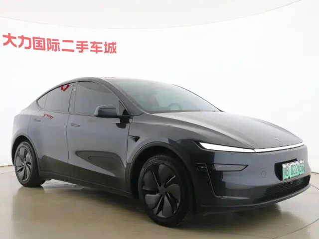 Tesla Model Y — Фото автомобиля 3