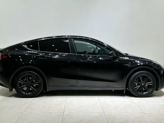 Tesla Model Y — Фото автомобиля 4