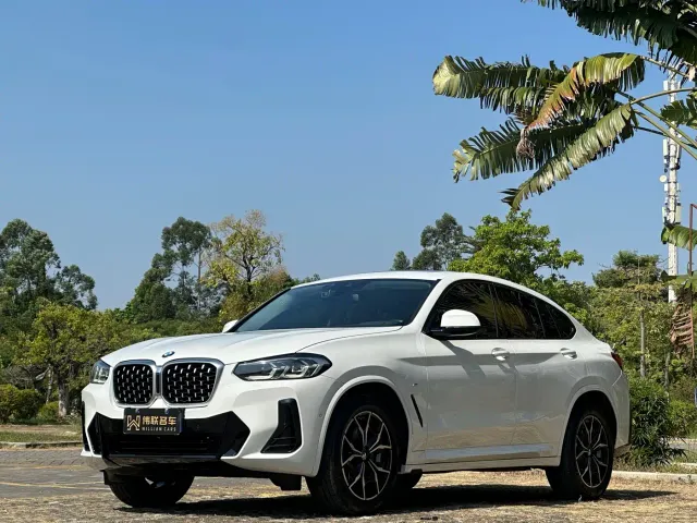 Фотография автомобиля — BMW X4