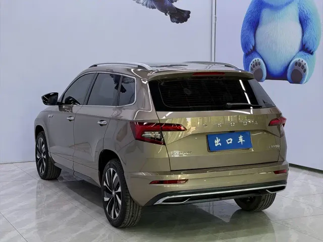 Skoda Karoq — Фото автомобиля 6