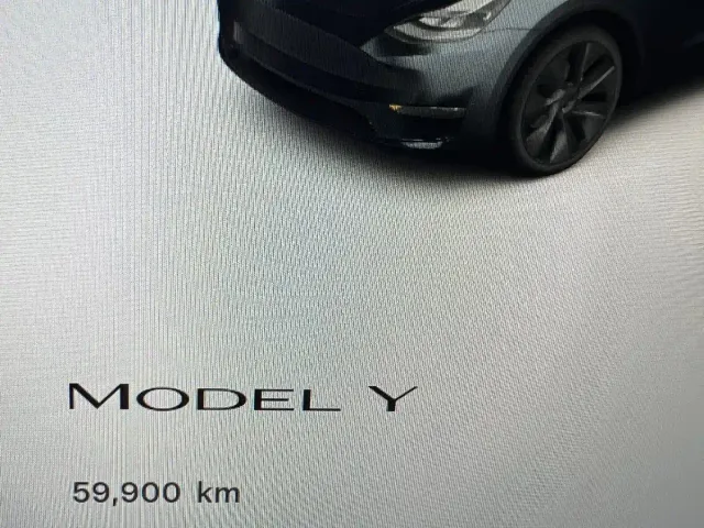 Tesla Model Y — Фото автомобиля 13