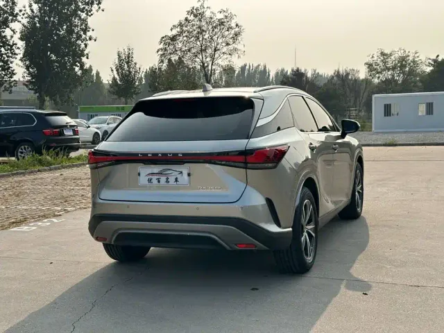 Lexus RX — Фото автомобиля 6