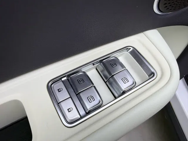 Hongqi E-HS9 — Фото автомобиля 27