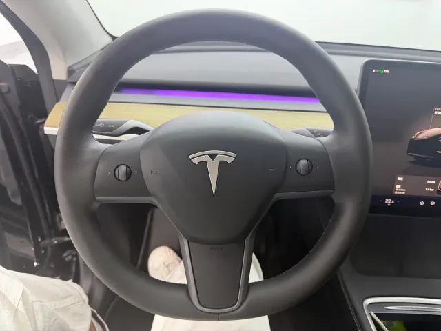 Tesla Model Y — Фото автомобиля 9