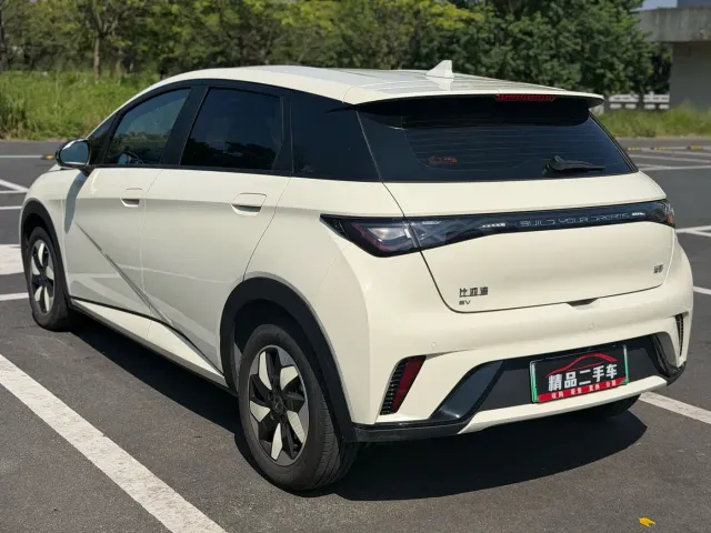 BYD Dolphin — Фото автомобиля 7