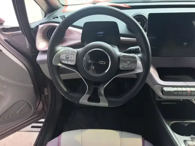 BYD Dolphin 2021 401km Knight Edition — Фото автомобиля 15
