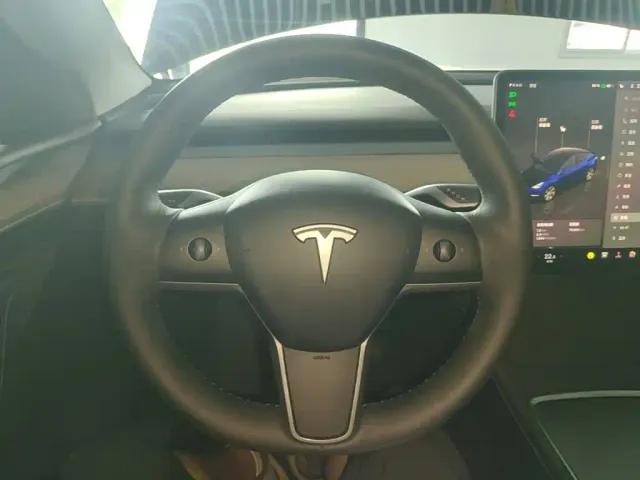 Tesla Model Y — Фото автомобиля 10