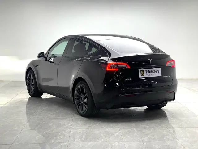 Tesla Model Y — Фото автомобиля 4