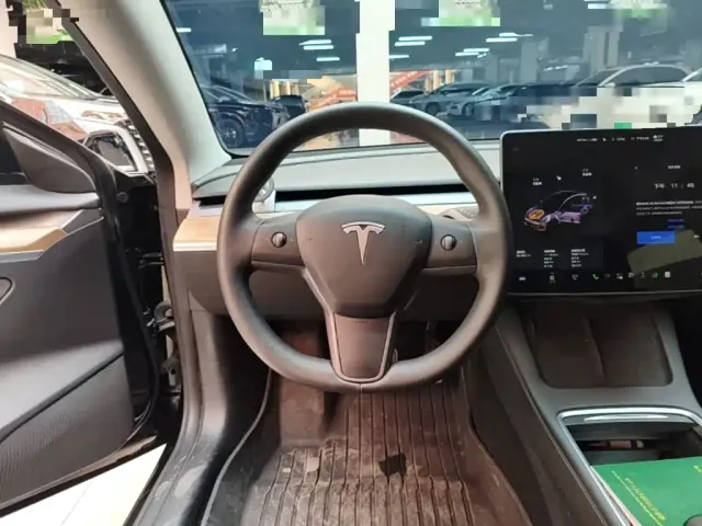 Tesla Model 3 — Фото автомобиля 10
