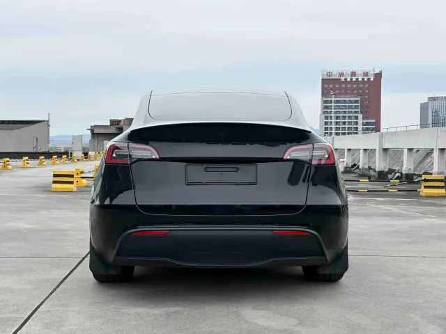 Tesla Model Y — Фото автомобиля 6