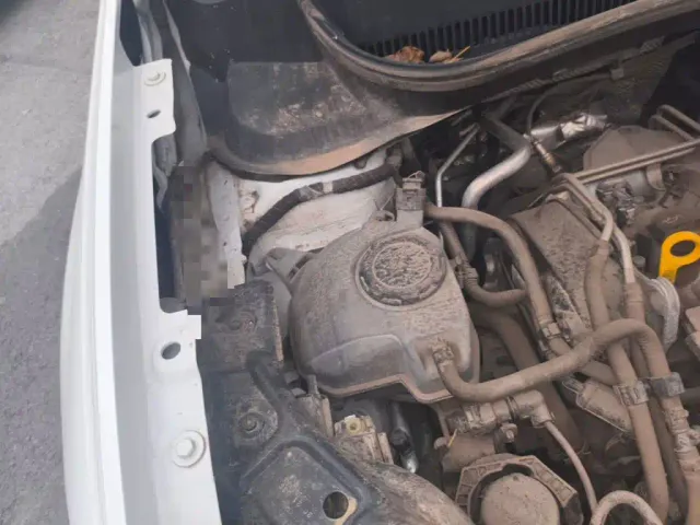 Volkswagen Tacqua — Фото автомобиля 18