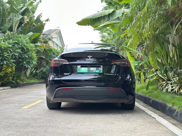 Tesla Model Y — Фото автомобиля 4