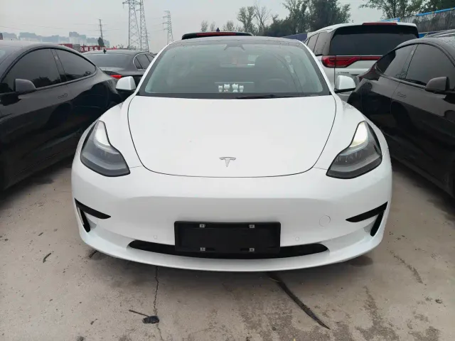 Tesla Model 3 2021 Standard Range Rear-Wheel Drive Upgrade — Фото автомобиля 2