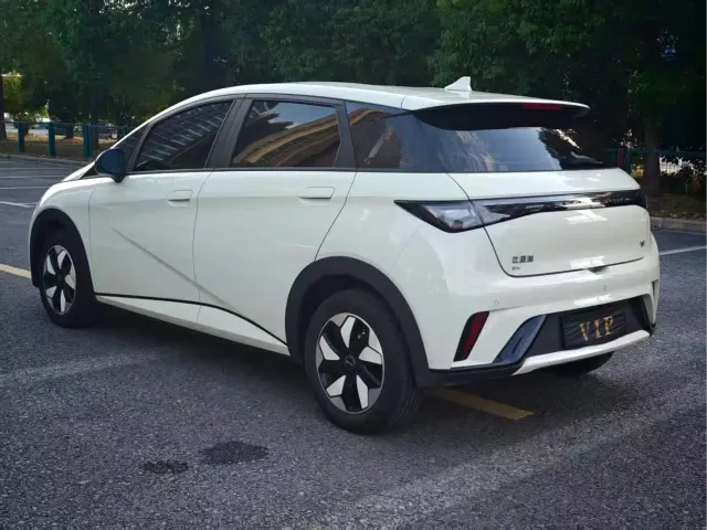BYD Dolphin — Фото автомобиля 9