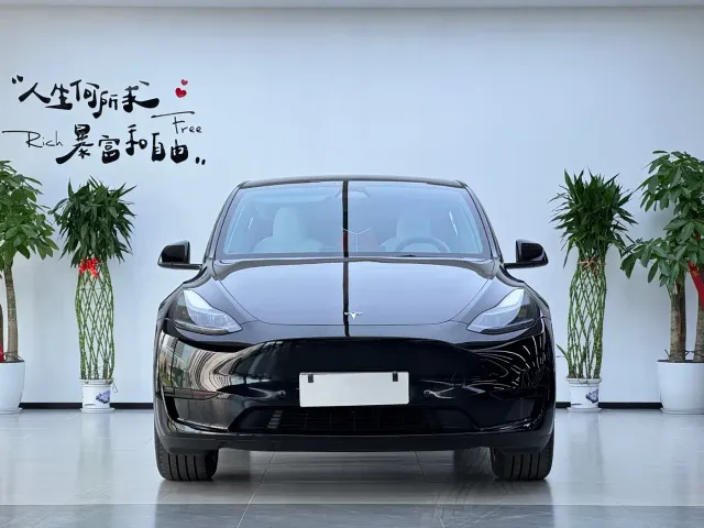 Tesla Model Y — Фото автомобиля 2